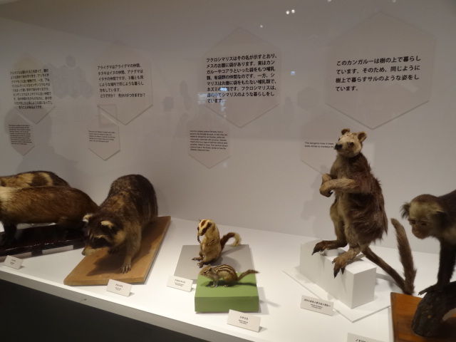 企画展 ポケモン研究所 良月 りょうげつ の たび日記 企画展 ポケモン研究所 良月 りょうげつ の たび日記