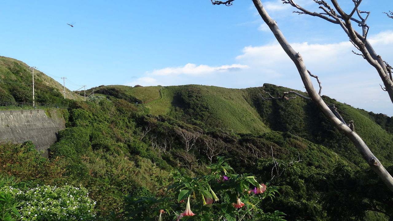 南伊豆町 奥石廊崎海岸 中木付近海岸 富士箱根伊豆国立公園 良月 りょうげつ の たび日記 南伊豆町 奥石廊崎海岸 中木付近海岸 富士箱根伊豆国立公園 良月 りょうげつ の たび日記