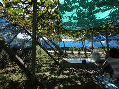 DSC01760