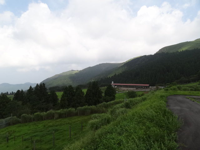 西伊豆 仁科峠 西天城高原と牧場 良月 りょうげつ の たび日記