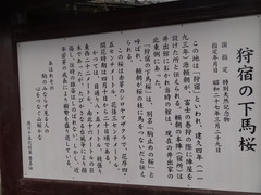 DSC03618