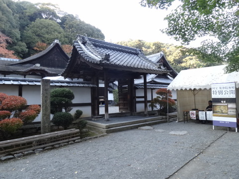 DSC00826