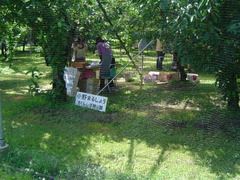 DSC05160
