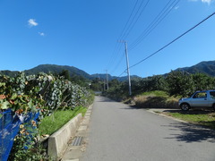 DSC01772