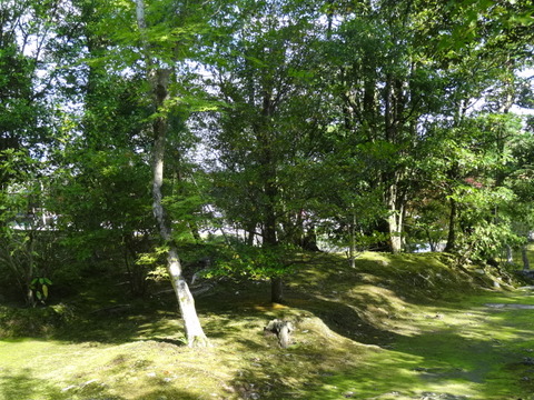 DSC00673