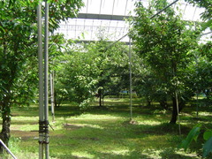 DSC05111