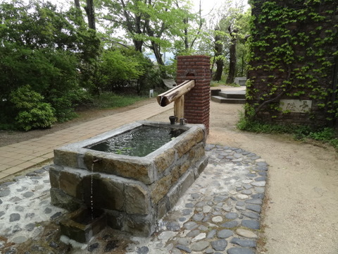 DSC01875