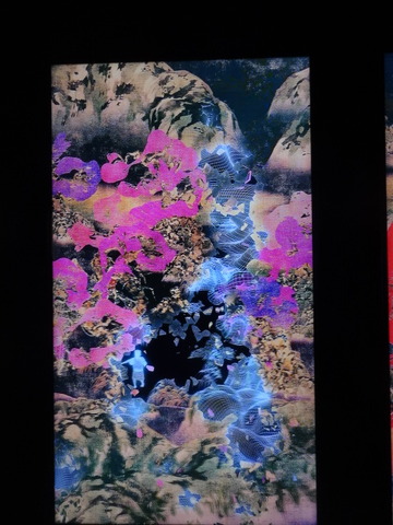 DSC01408