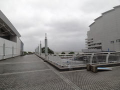 DSC08184