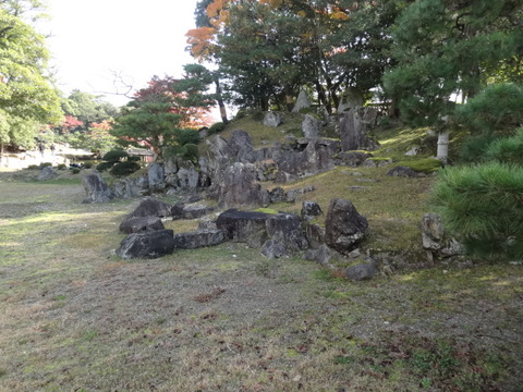 DSC01242