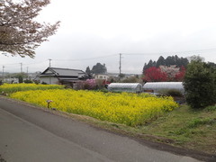 DSC03619