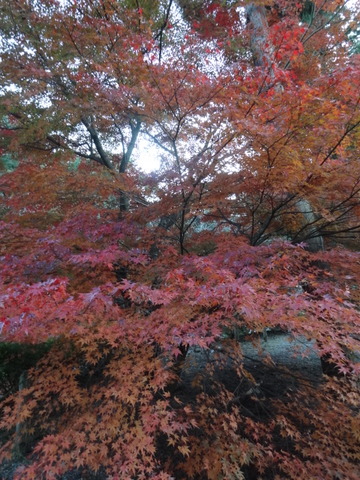 DSC00900