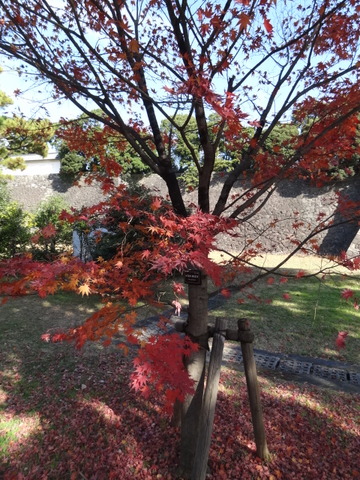 DSC01368