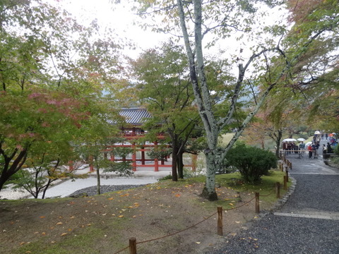 DSC00769