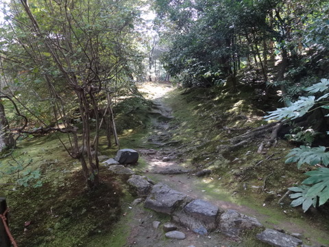 DSC00672
