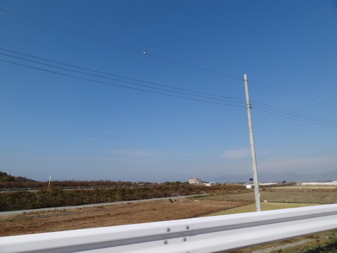 DSC01331
