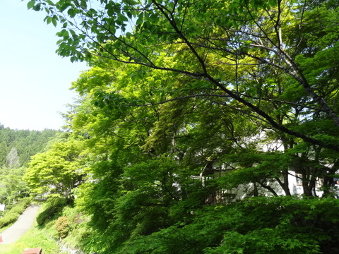 DSC02268