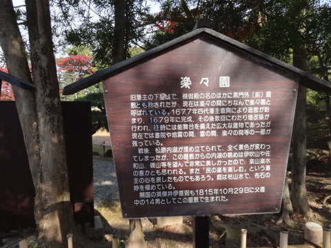 DSC01237