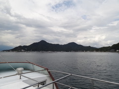 DSC05174