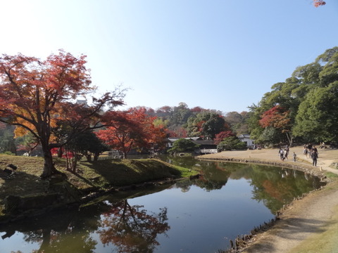 DSC01269