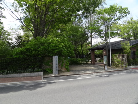 DSC01888