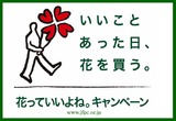 イイことあったら花を!