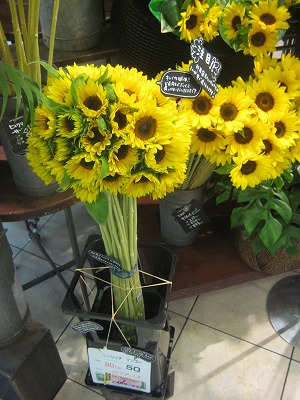 折原園芸ひまわりフェア Aoyama Flower Market 折原園芸blog