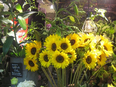 折原園芸ひまわりフェア Aoyama Flower Market 折原園芸blog