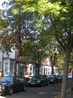 �ʤʤ��ޤɣ�