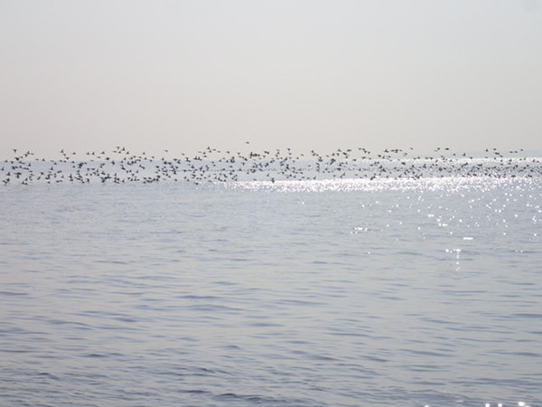 P1200006
