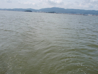 P7160121