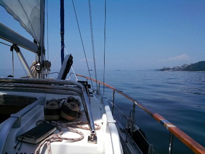 IMG_20130707_115629_712