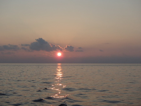 P8040053