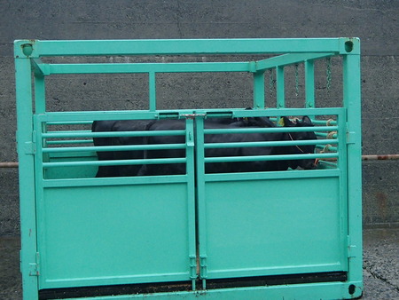 P9060003