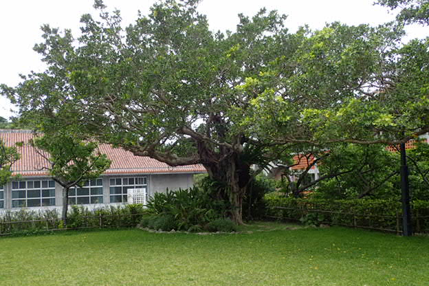 P5080027