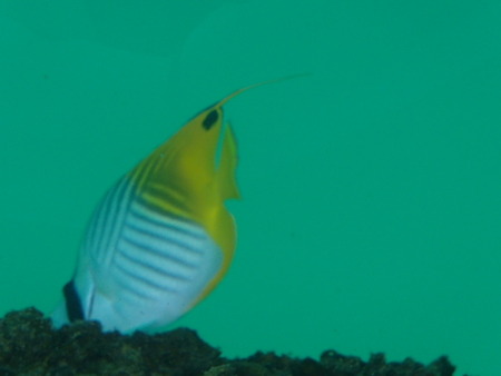 P8180014