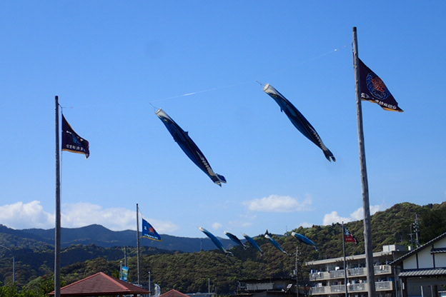 P4180019