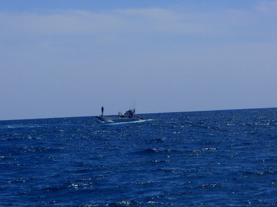P5010027