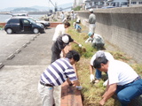 P5100244草取り