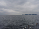 曇り 大島