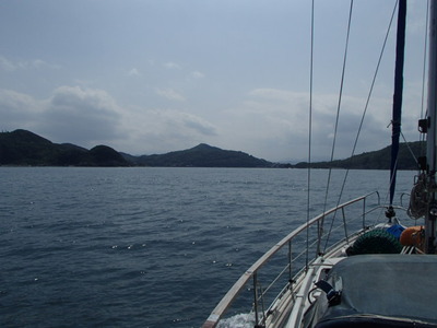 P5040008