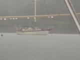 P8090309豪雨