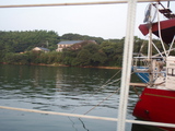 P8220199風童