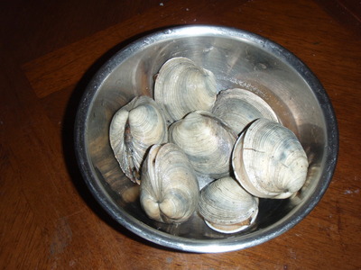 P7110113