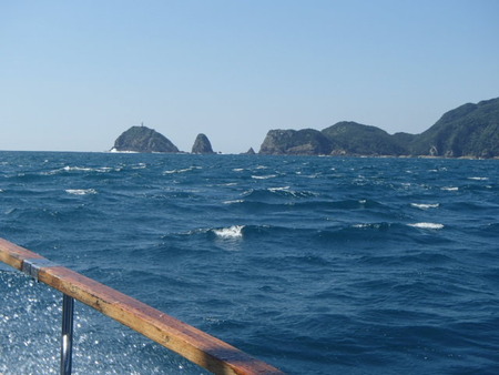 P9120050