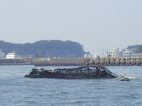 P3250232