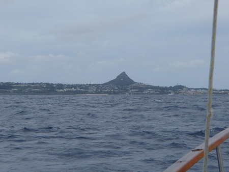 P8290016