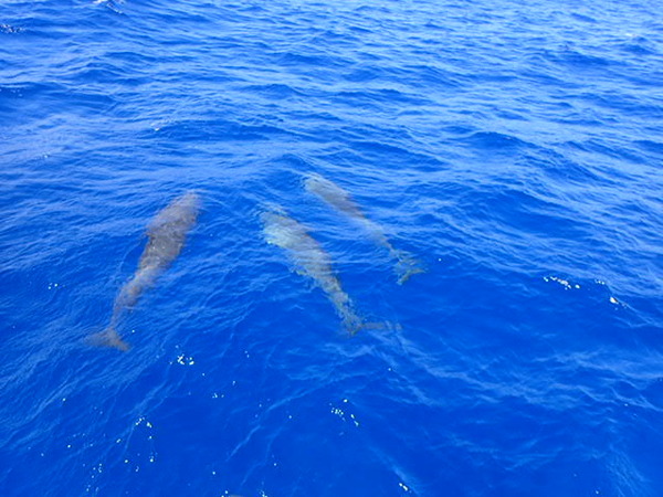 P7230005