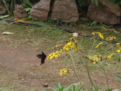 P1220262