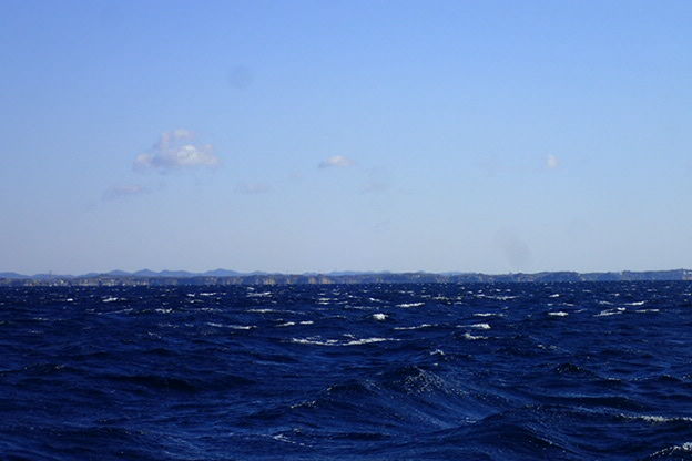 P4090016